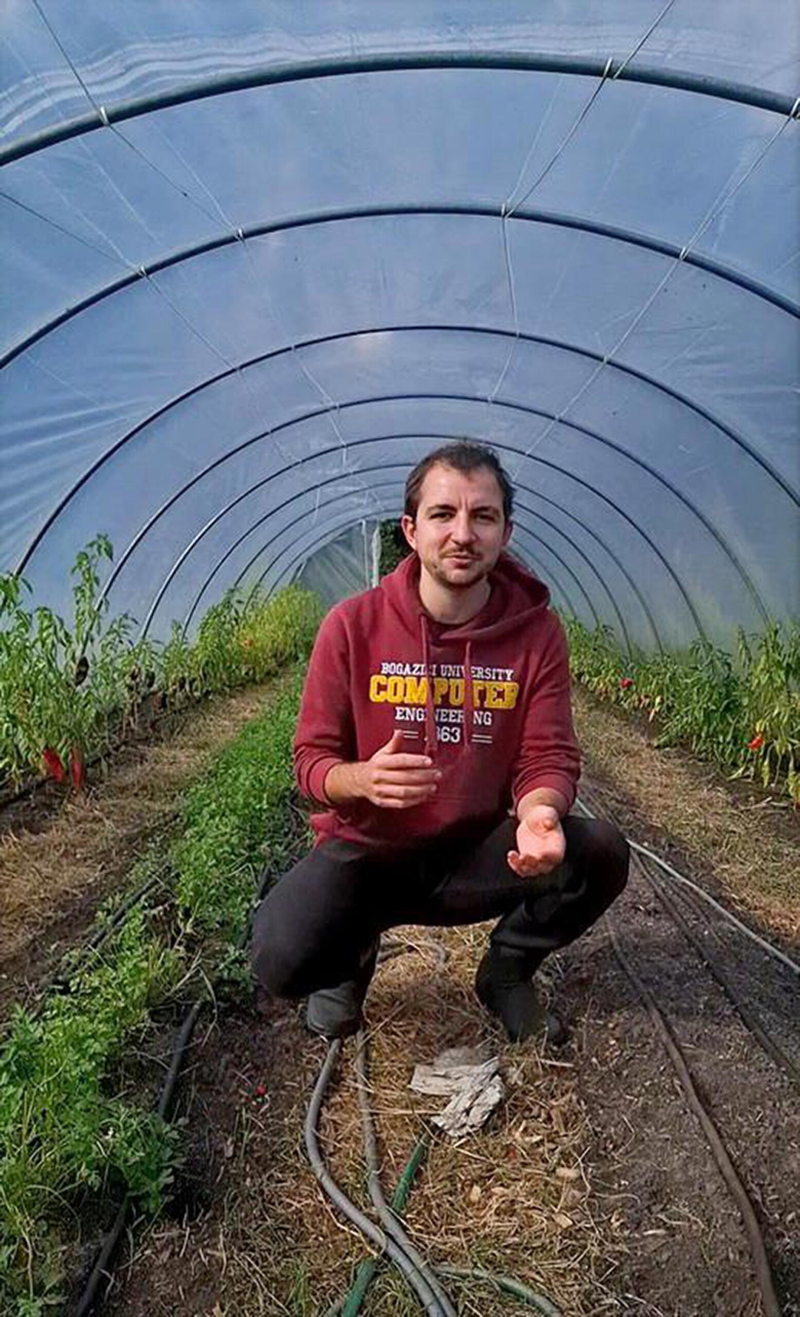 Burak vor seiner ersten Ernte im neuen Folientunnel.