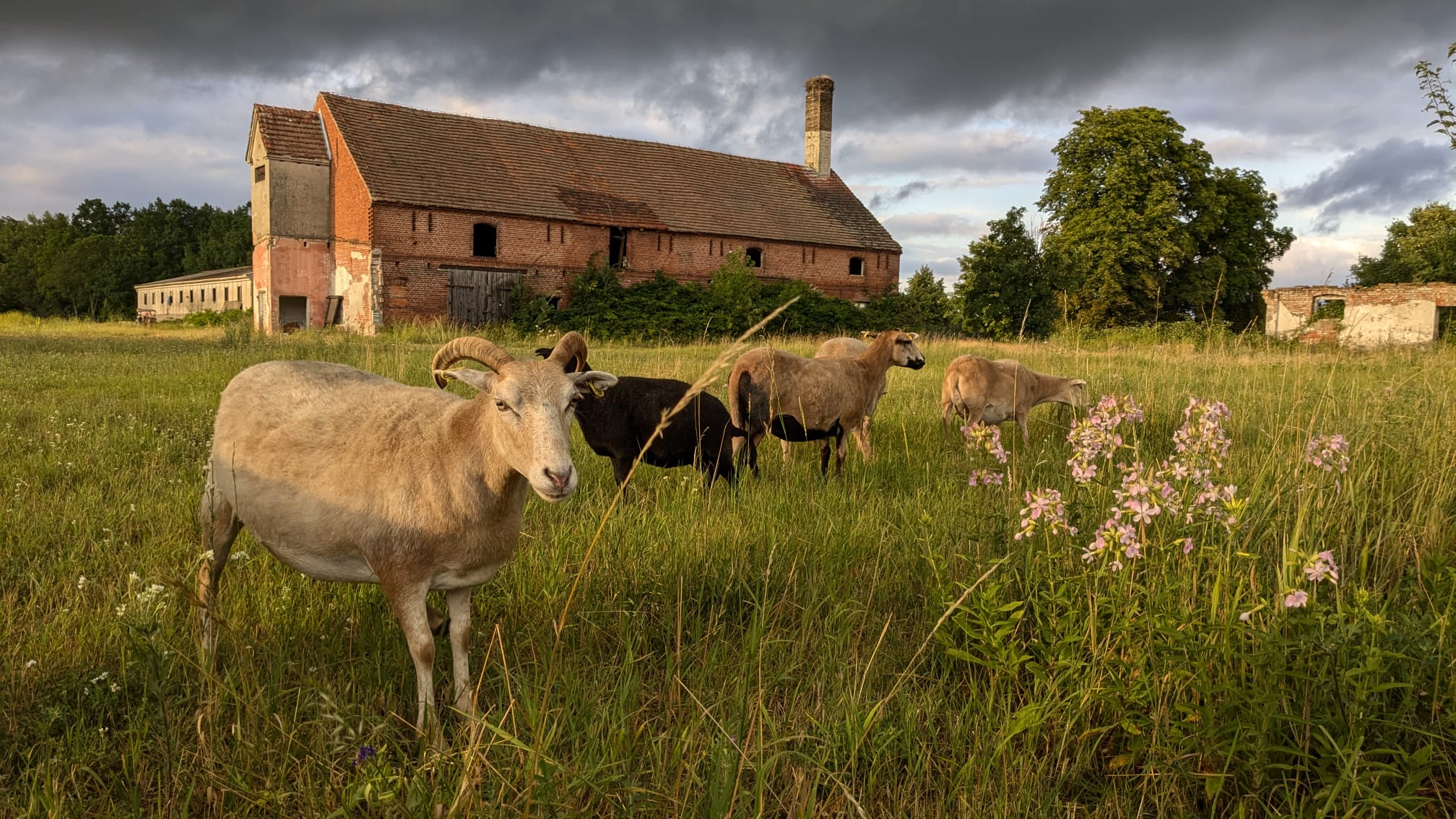 WhatsApp Image 2026-01-14 at 15.40.25